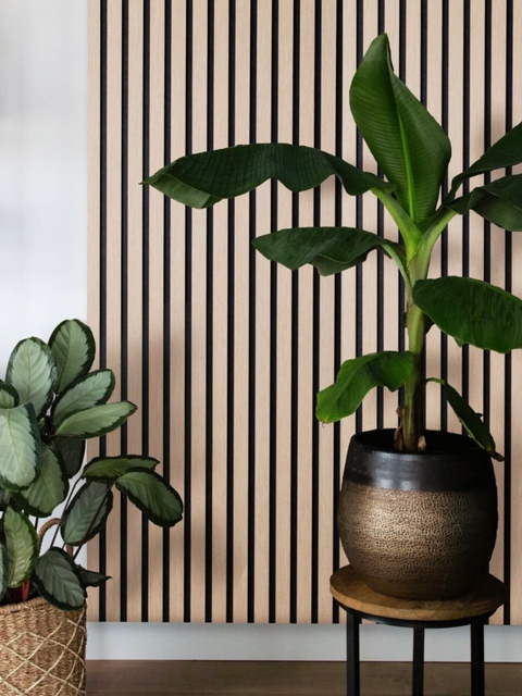 Acoustic Wall Panel Solution application 11